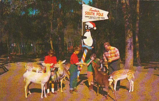 Children Feeding Deer At Tommy Bartlett's Deer Ranch Silver Springs Florida
