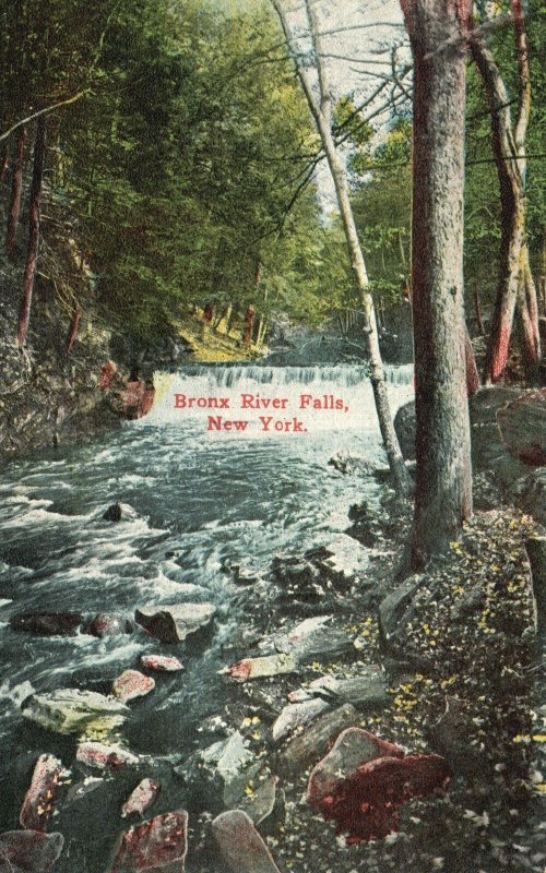 Vintage Postcard 1915 Bronx River Falls Waterfalls New York N.Y. Trees Nature