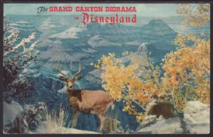 Grand Canyon Diorama,Disneyland Postcard BIN