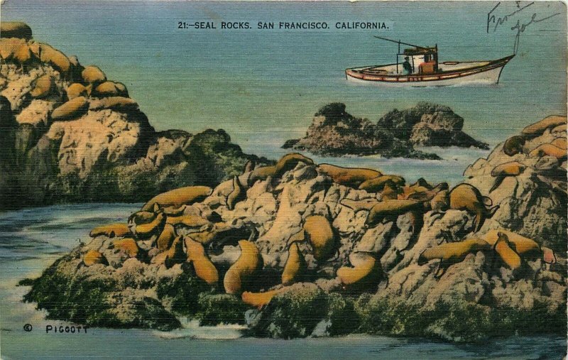 VINTAGE  UNUSED POSTCARD SEAL ROCKS SANFRANCISCO CALIFORNIA CA