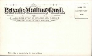 Phoenix Arizona AZ Ostrich Farm c1900 Private Mailing Card