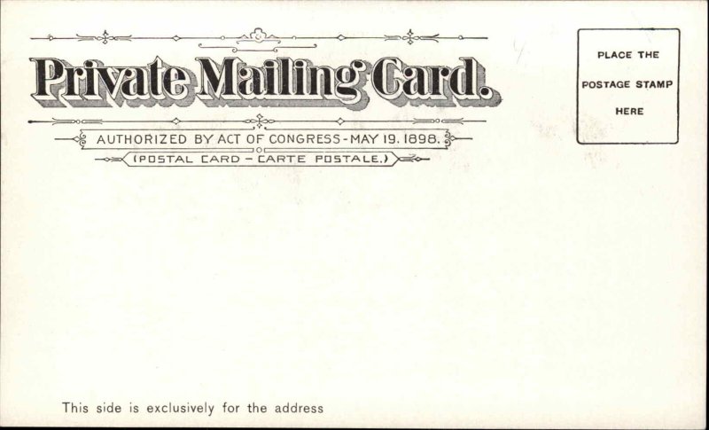 Phoenix Arizona AZ Ostrich Farm c1900 Private Mailing Card