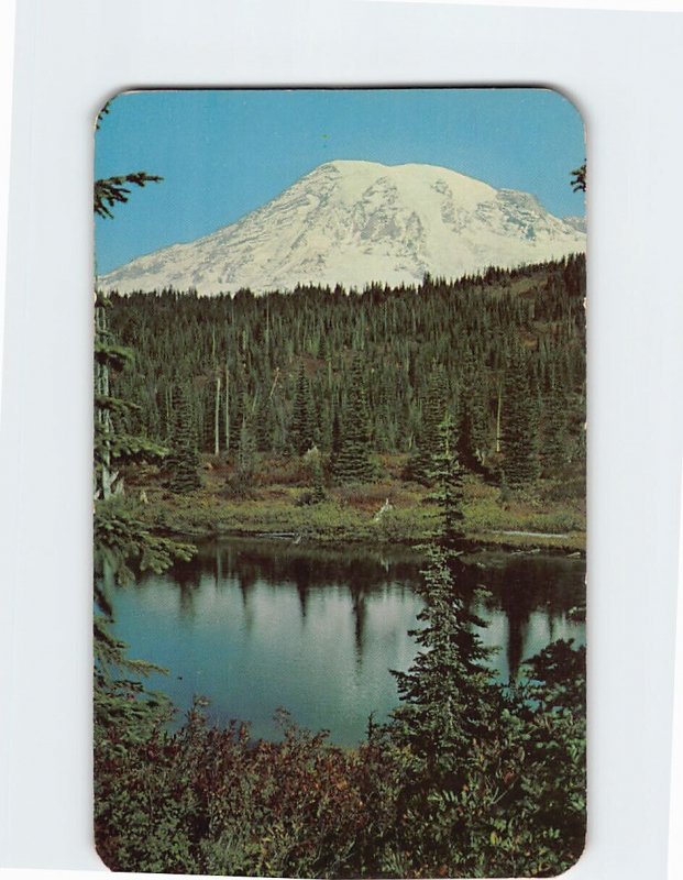 Postcard Mount Rainier, Washington 