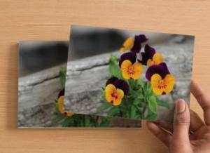 Handmade Postcard Set of 6, Purple And Yellow Pansies Against Rustic Wood