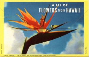 Folder - Hawaii. Flowers from Hawaii (12 Views + Covers + Narrative)