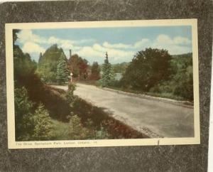 LONDON ONTARIO SPRINGBANK PARK c1930 Postcard