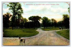 Entrance to Beaver Park Cedar Rapids Iowa IA DB Postcard U22