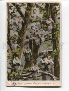 285801 MULTIPLE BABIES on Tree Gifts Vintage FELD POST 1914 y