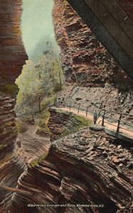 Vintage Postcard 1911 Whirlwind Gorge & Vista Attraction Watkins Glen New York