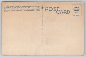 Picking Oranges in Florida Workers Ladders Crates Occupational Postcard W27