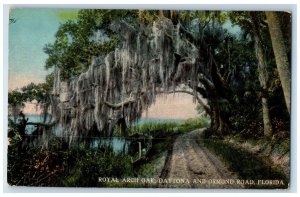 1914 Royal Arch Oak Daytona Ormond Road Lake Florida FL Vintage Antique Postcard