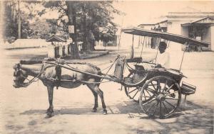 B25297 Tandjong tanjung Priok carriage in the street indonesia