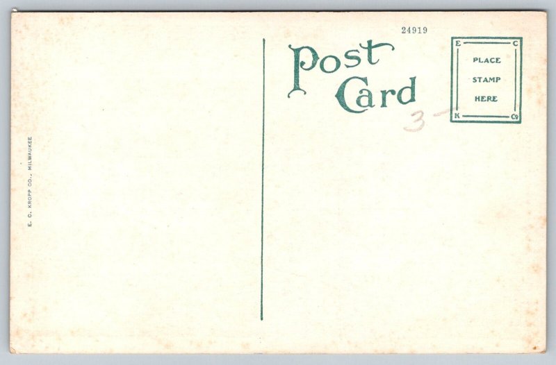 Coconuts Palm Beach  Florida   Postcard