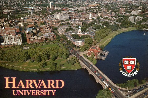 HARVARD UNIVERSITY