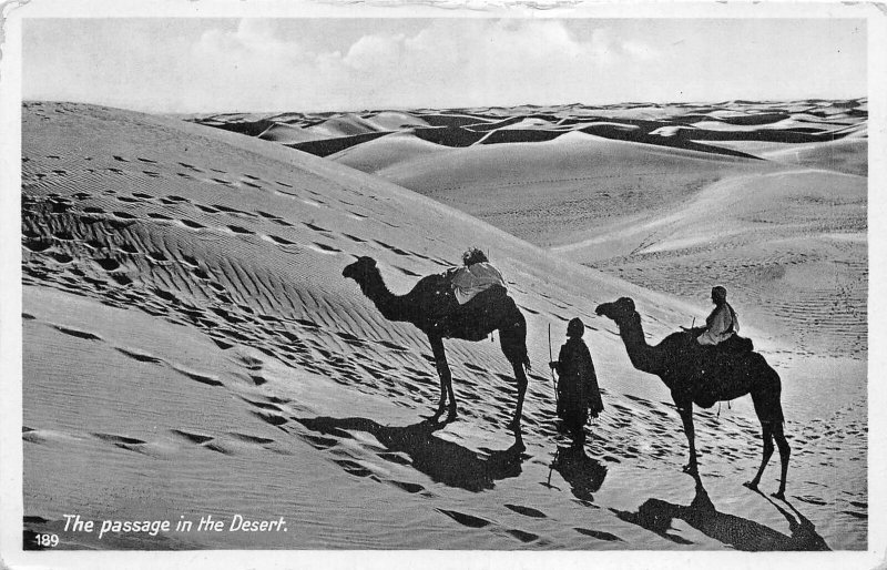 Lot121 the passage in the desert camel types folklore north africa