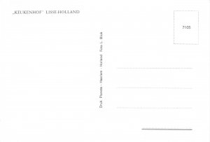 Postcard Modern KEUKENHOF SMOOTH-HOLLAND Mill