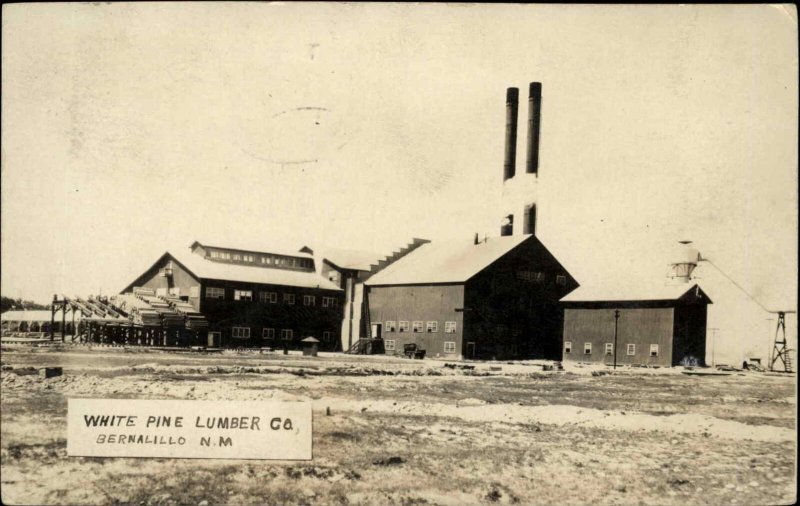 Bernalillo NM White Pine Lumber Co 1925 RPO Cancel Real Photo Postcard