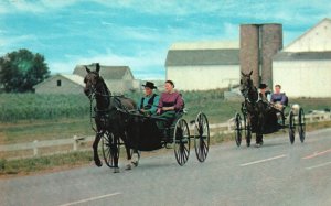 Amish Country Courting Buggies Couples Bird-In-Hand Pennsylvania PA Postcard