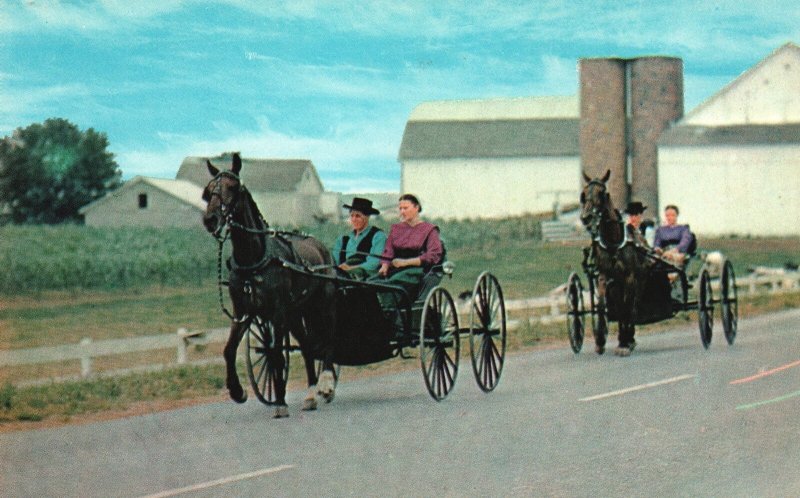 Amish Country Courting Buggies Couples Bird-In-Hand Pennsylvania PA Postcard