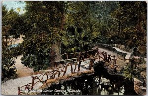 Gibraltar The Lower Gardens Alameda Bridge & Park Attractions Postcard