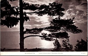 Pine Tree Silhouette, Lake Michigan Camera Study c1955 Vintage Postcard Q53