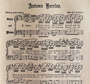 Autumn Berries Sheet Music 1892 Victorian Voice And Piano Ephemera DWY10A