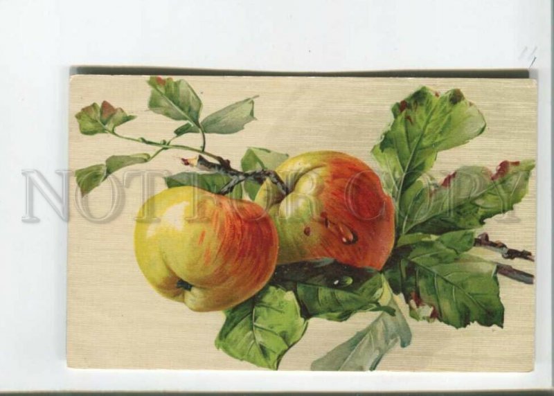 471814 KLEIN Sweet APPLE on Tree DEW Vintage postcard GOM #1337