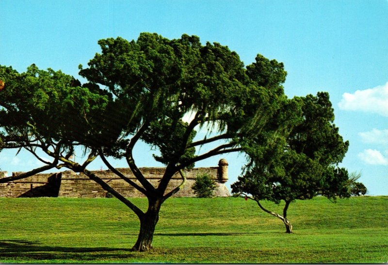 Florida St Augustine Castillo De San Marcos National Monument