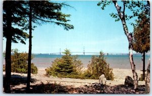 Postcard - Mackinac Straits Bridge - Michigan