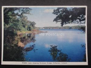 Ireland KILLARNEY MIDDLE LAKE SHOWING BRICKEEN BRIDGE c1950's by Cardall Ltd