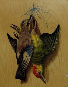 1870's-80's Embossed Thick Wood-Grain Victorian Trade Card Wild-Birds #2 F94