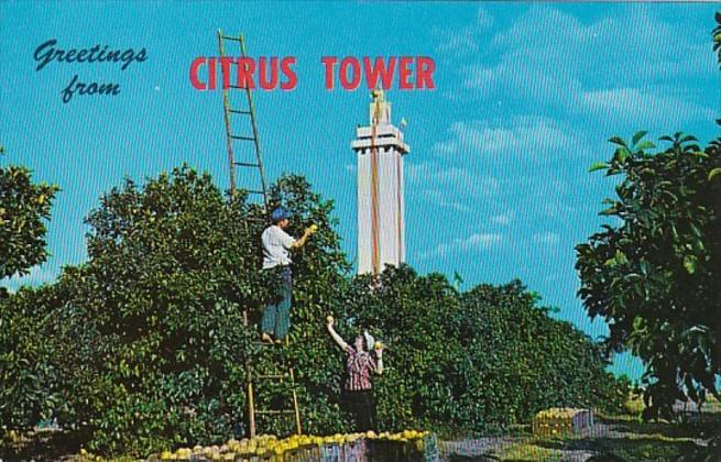 Florida Clermont Greetings From The Citrus Tower