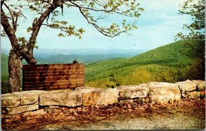 Vtg 1960 Appalachian Trail Shenandoah National Park Virginia VA Postcard