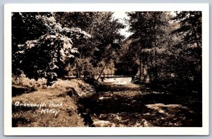 K45/ Missoula Montana RPPC Postcard 50s Greenough Park   418