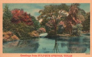 Vintage Postcard 1920's Water Lake Trees Nature Greetings Sulphur Springs Texas