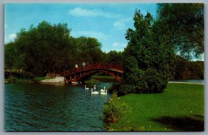 Postcard Stratford Ontario c1970s White Swans on Avon River Island Bridge