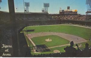 Tigers At Home ~ Inside Tiger Stadium ~ Detroit Tigers Michigan c1960's Postcard