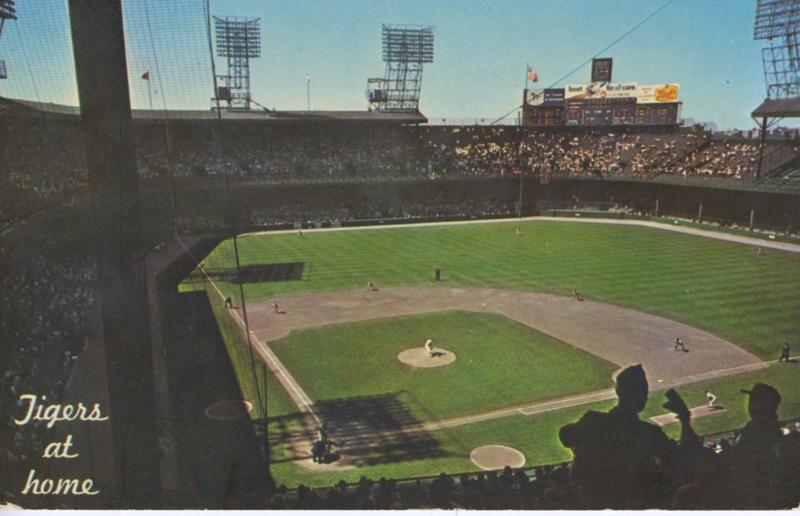 Tigers At Home ~ Inside Tiger Stadium ~ Detroit Tigers Michigan c1960's  Postcard