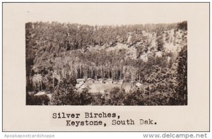 Silver Birches Lodge Keystone South Dakota Real Photo