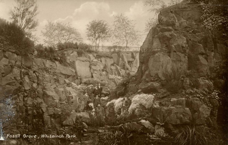 UK - Scotland, Whiteinch Park. Fossil Grove   *RPPC