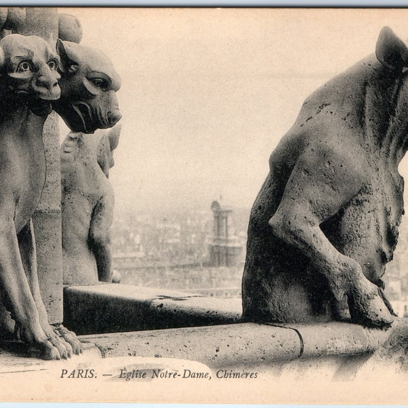 c1900s Paris, France Notre-Dame Church Chimeras Gargoyles Horse Gothic A356