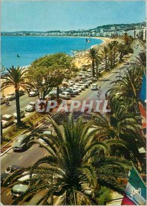 Postcard Modern Nice (Alpes Maritimes) The Riviera Colors and Light of France...