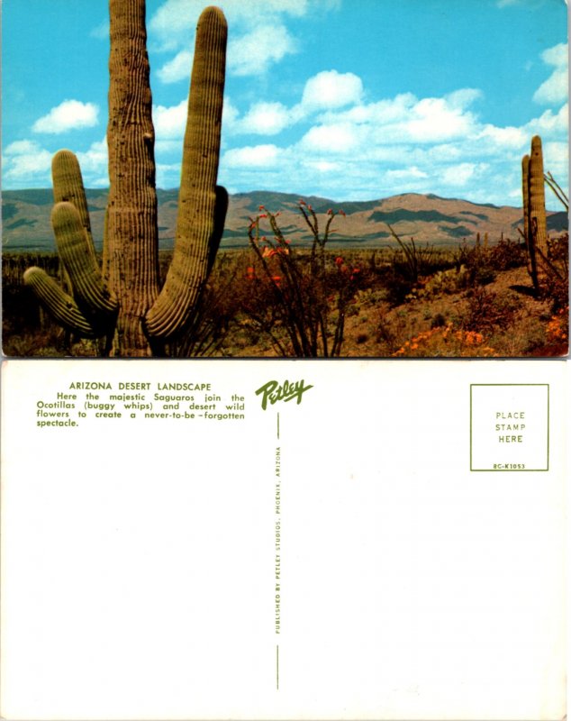 Arizona Desert Landscape (15575
