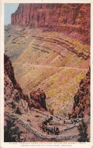 Riders Hermit Trail Grand Canyon National Park Arizona Fred Harvey postcard