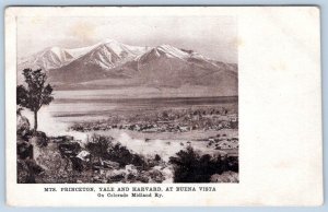 Pre-1907 MOUNTAINS PRINCETON YALE & HARVARD ON COLORADO MIDLAND RAILWAY POSTCARD