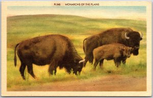 Animals- Monarchs of The Plains, Buffalo In The State & National Park, Postcard