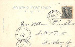 Horses With Water Horses 1906 