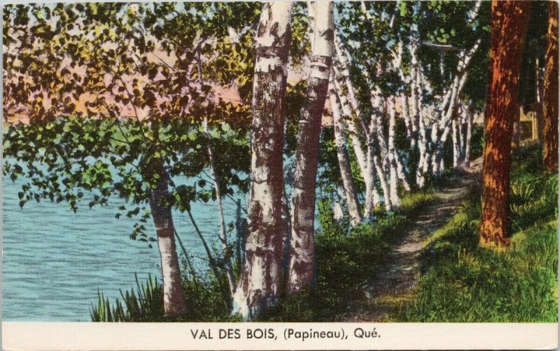 Val Des Bois Quebec Papineau Trees Path SDC Postcard G6