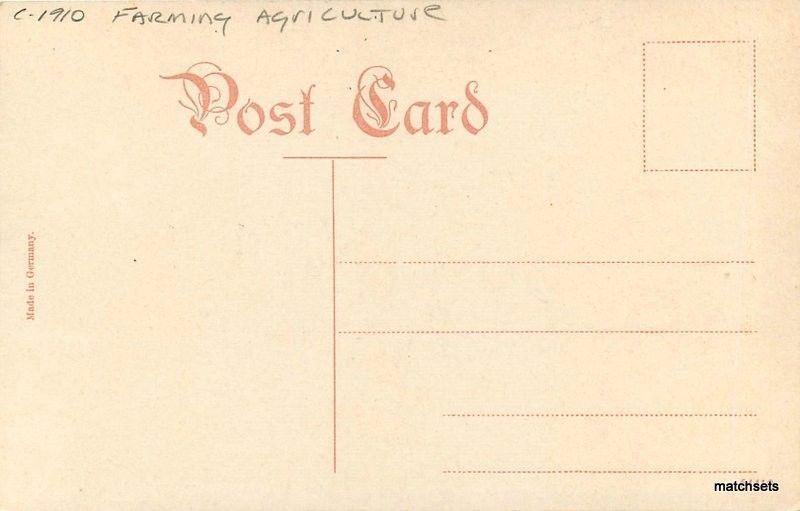 C-1910 Farming Agriculture Harvesting Calgary Alberta postcard 6666