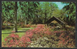 South Carolina, Orangeburg - Edisto Gardens - [SC-084]